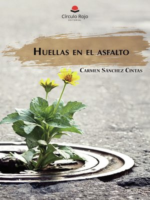 cover image of HuellaS en el aSFalto
